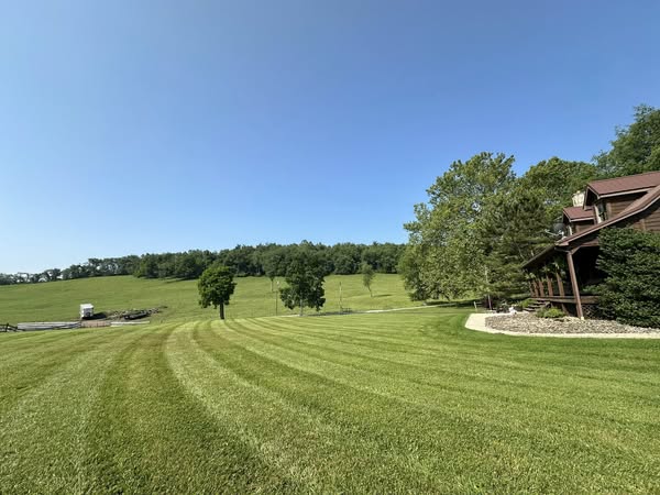 Professional mowing